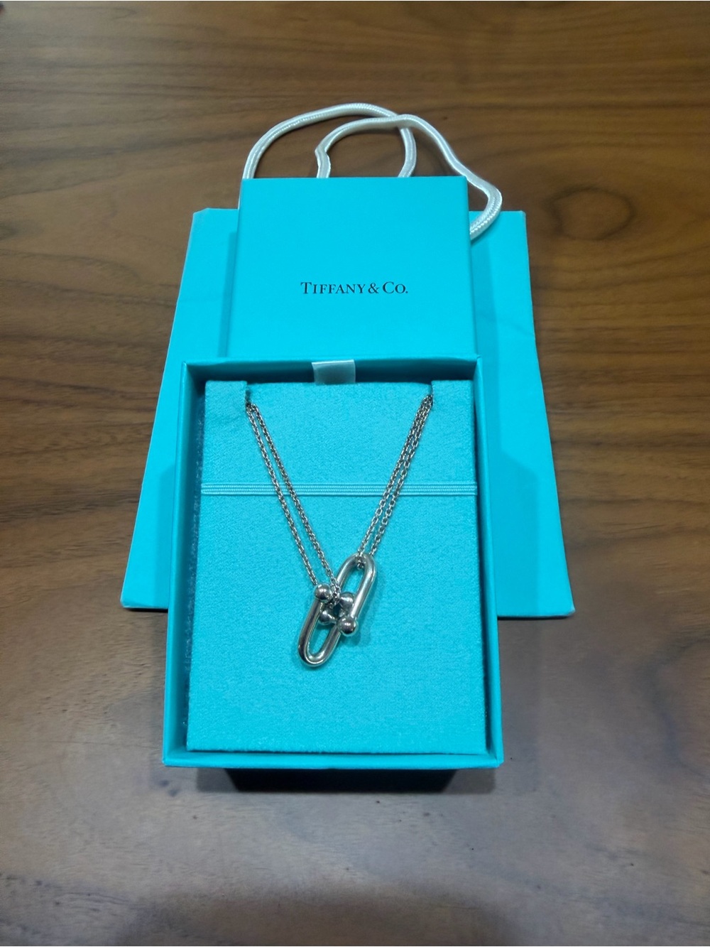 Tiffany & Co. Silver Double-Link Necklace with Blue Presentation